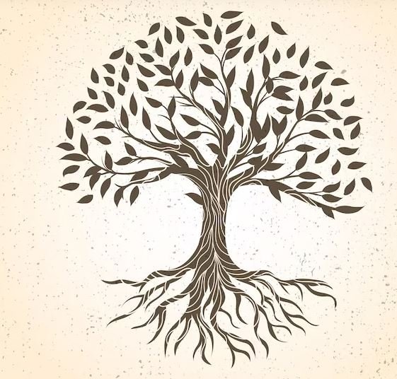 What Does The Tree Of Life Mean